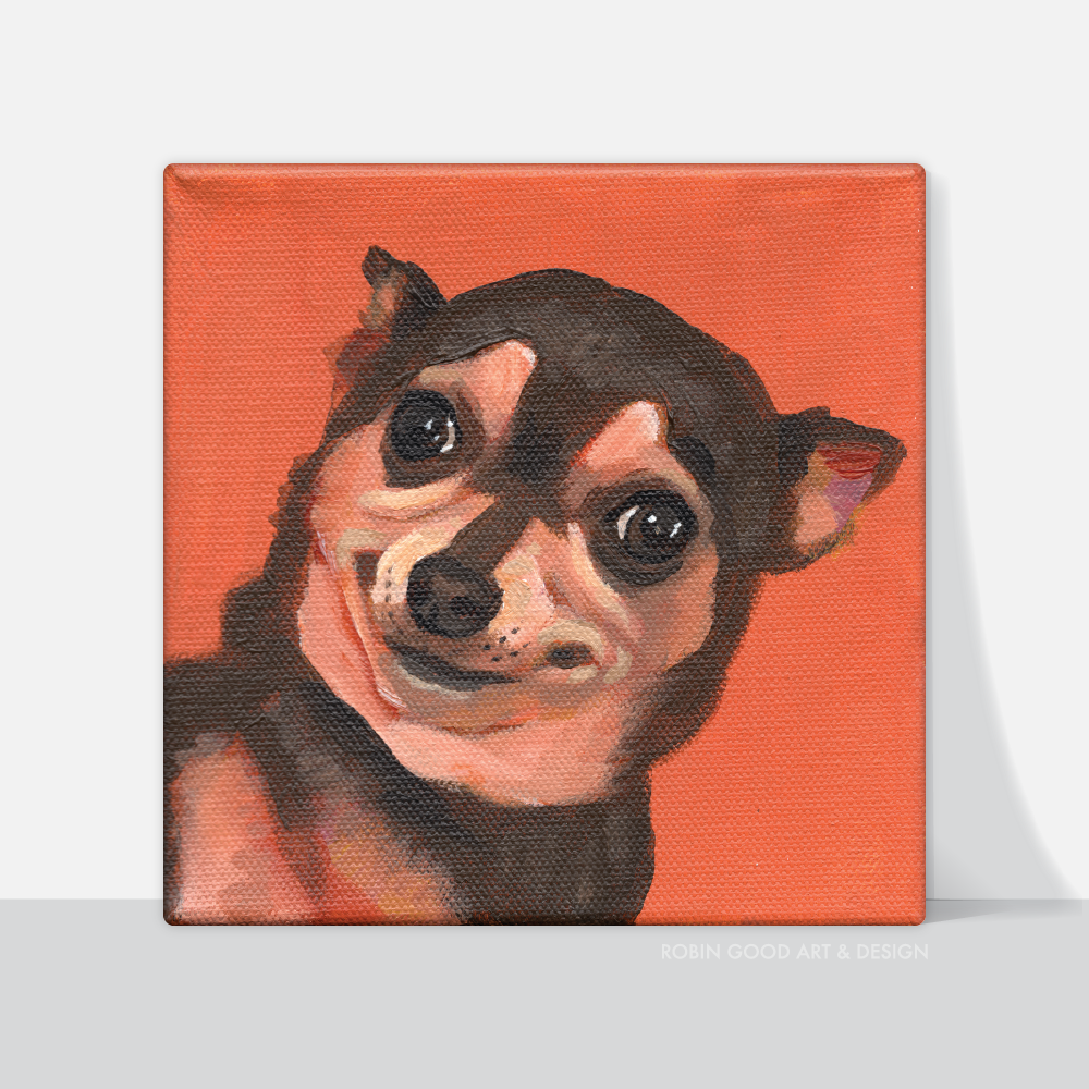 Really? Chihuahua Canvas Print