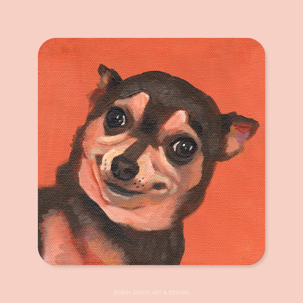 Really? Chihuahua Sticker