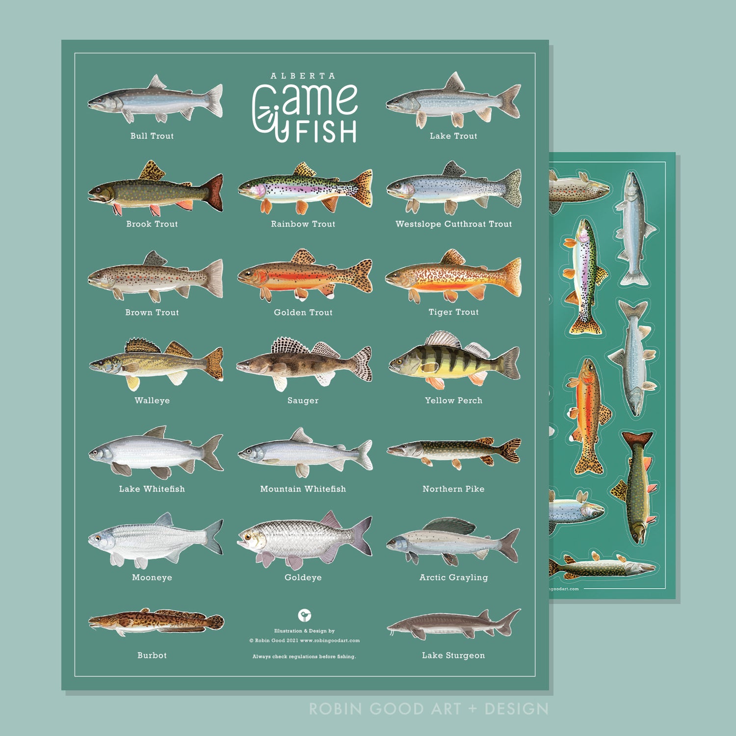Alberta Game Fish Poster & Sticker Set – Robin Good Art