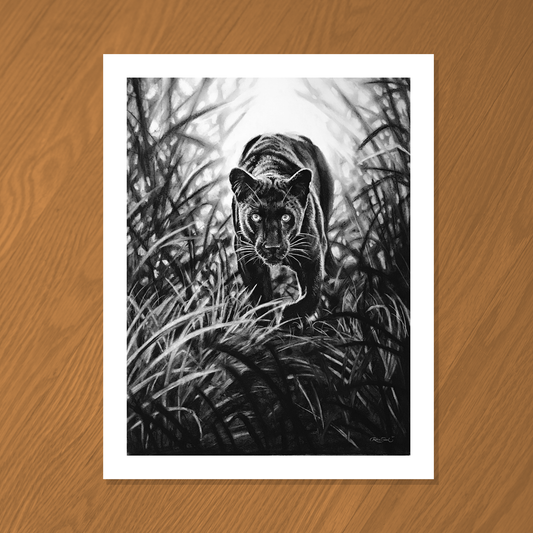 Black Panther Limited Edition Print