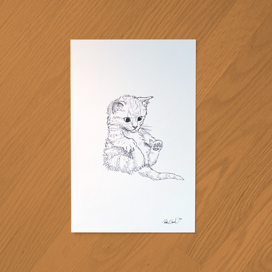 Kitten Ink Drawing