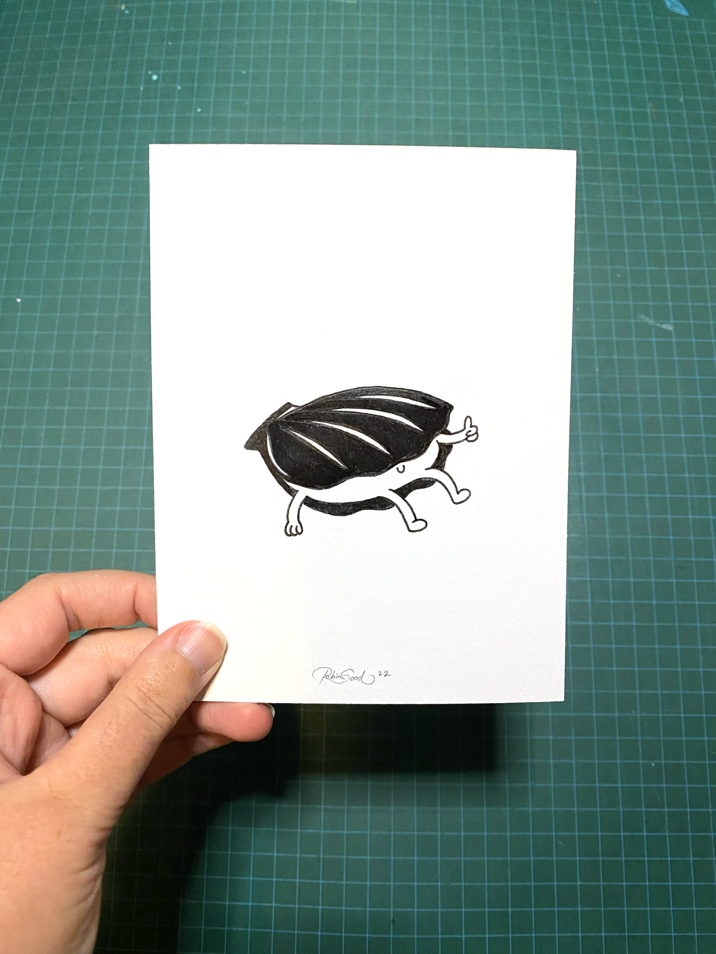 Scallop