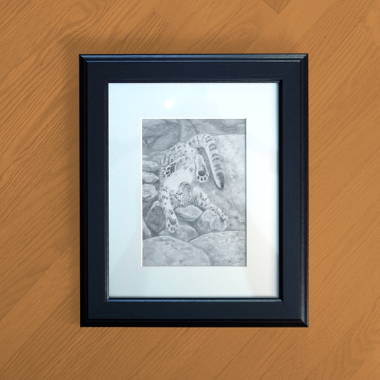 Snow Leopard Cub Pencil Drawing