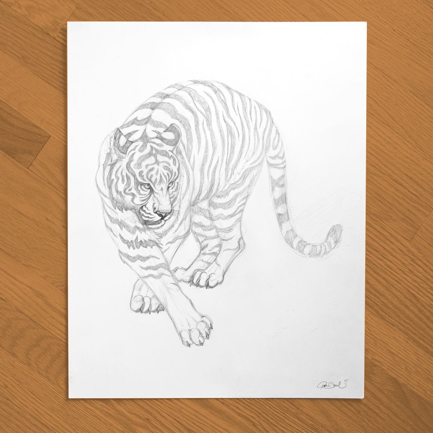 Tiger Pencil Sketch