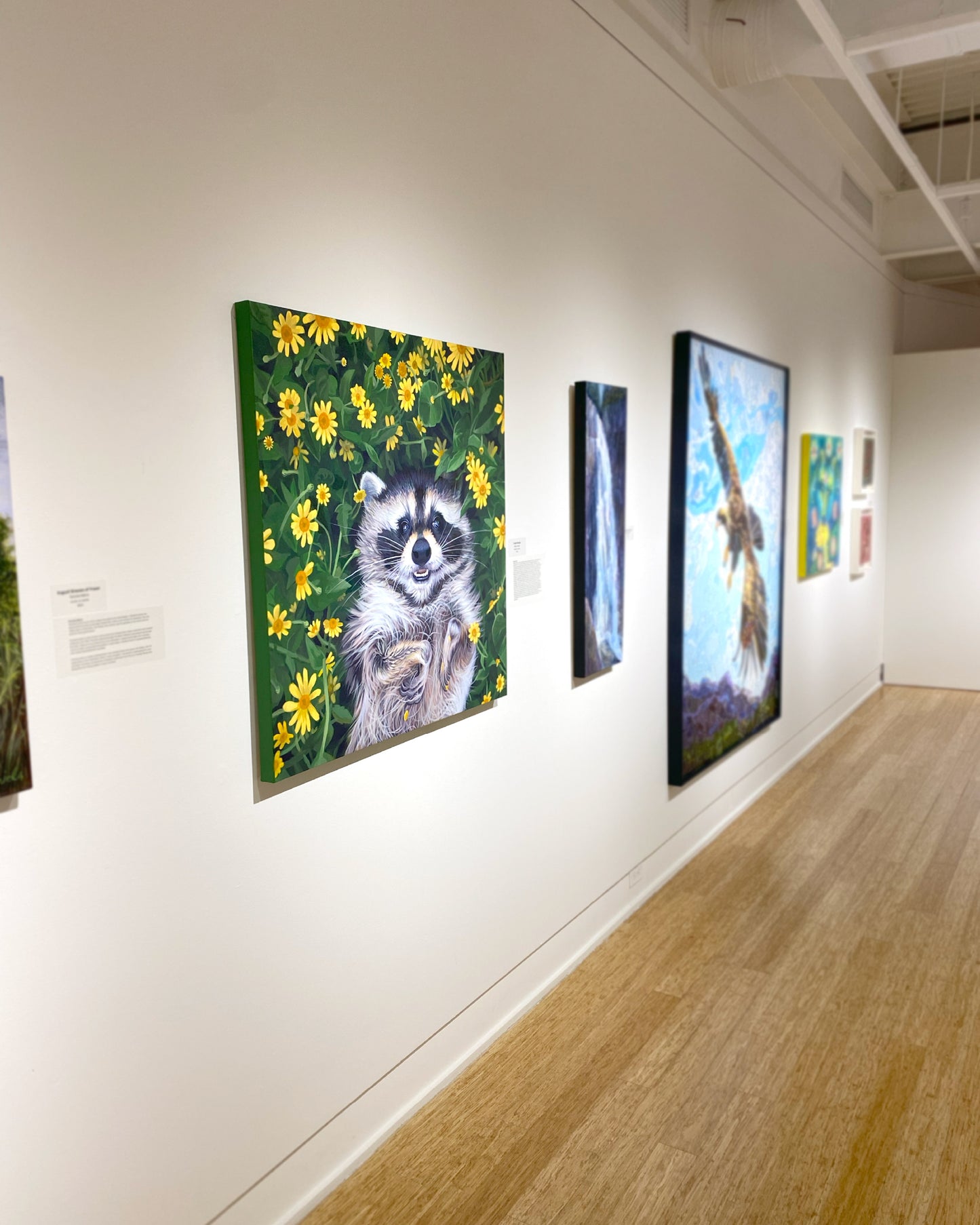 Trash Panda Painting