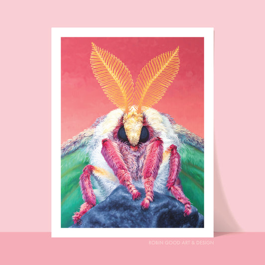 Not Just a Phase Art Print