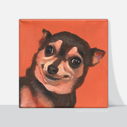 Really? Chihuahua Canvas Print