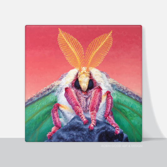 Not Just a Phase Canvas Print