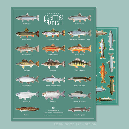 Alberta Game Fish Poster & Sticker Set