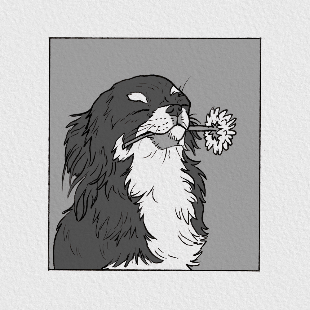 Bouquet