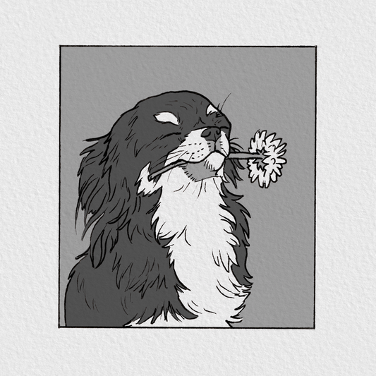 Bouquet