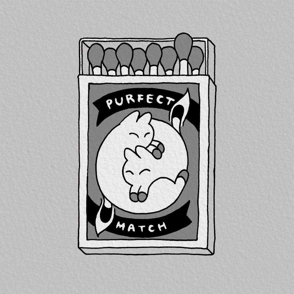 Match