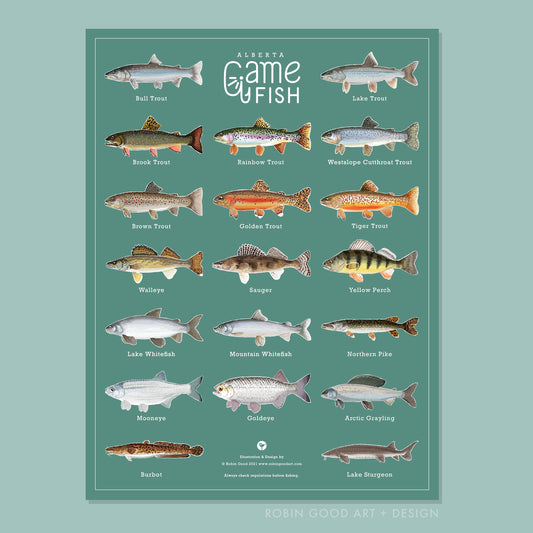 Alberta Game Fish Poster & Sticker Set