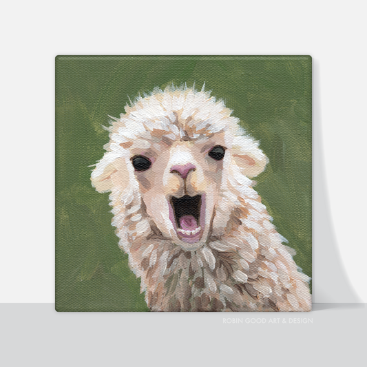 Singing Llama Canvas Print
