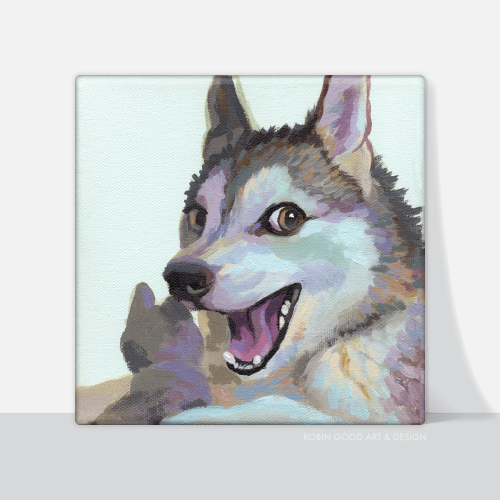 Joking Husky Canvas Print