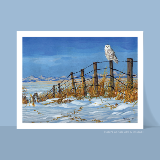 Snowy Owl Art Print