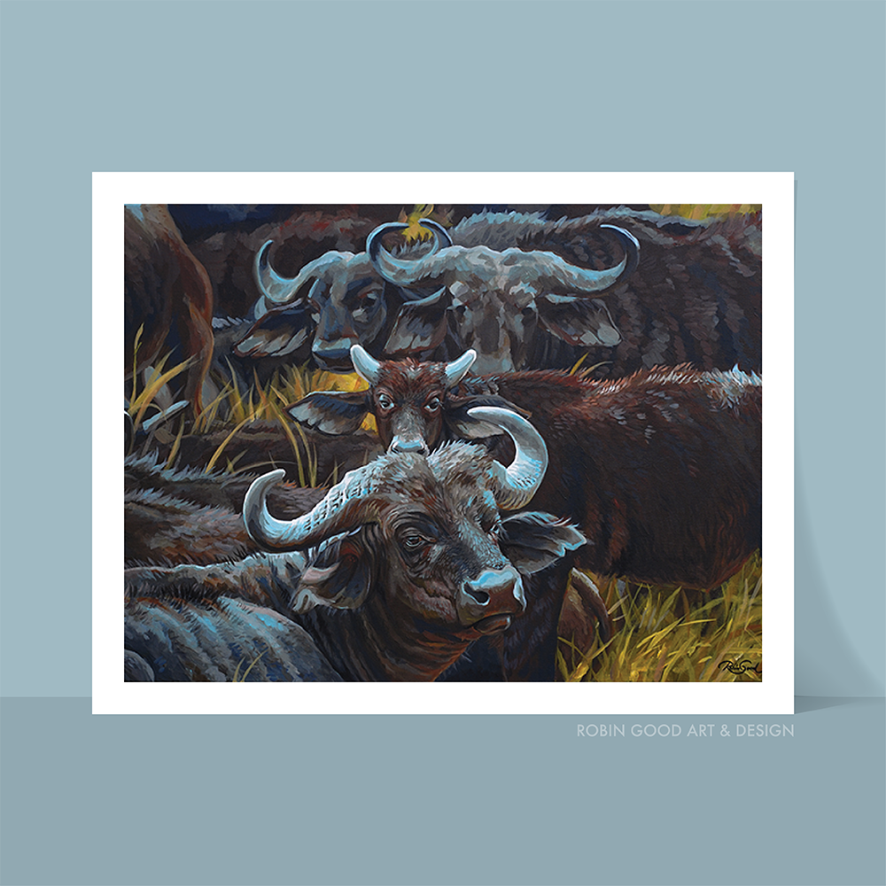 Water Buffalo Art Print
