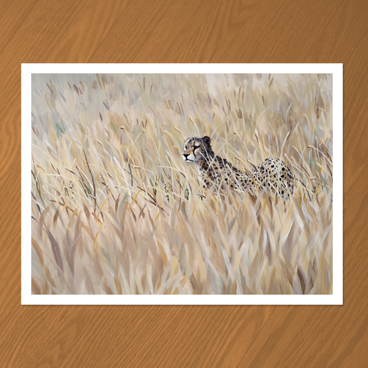 Cheetah Limited Edition Print (pre-order)