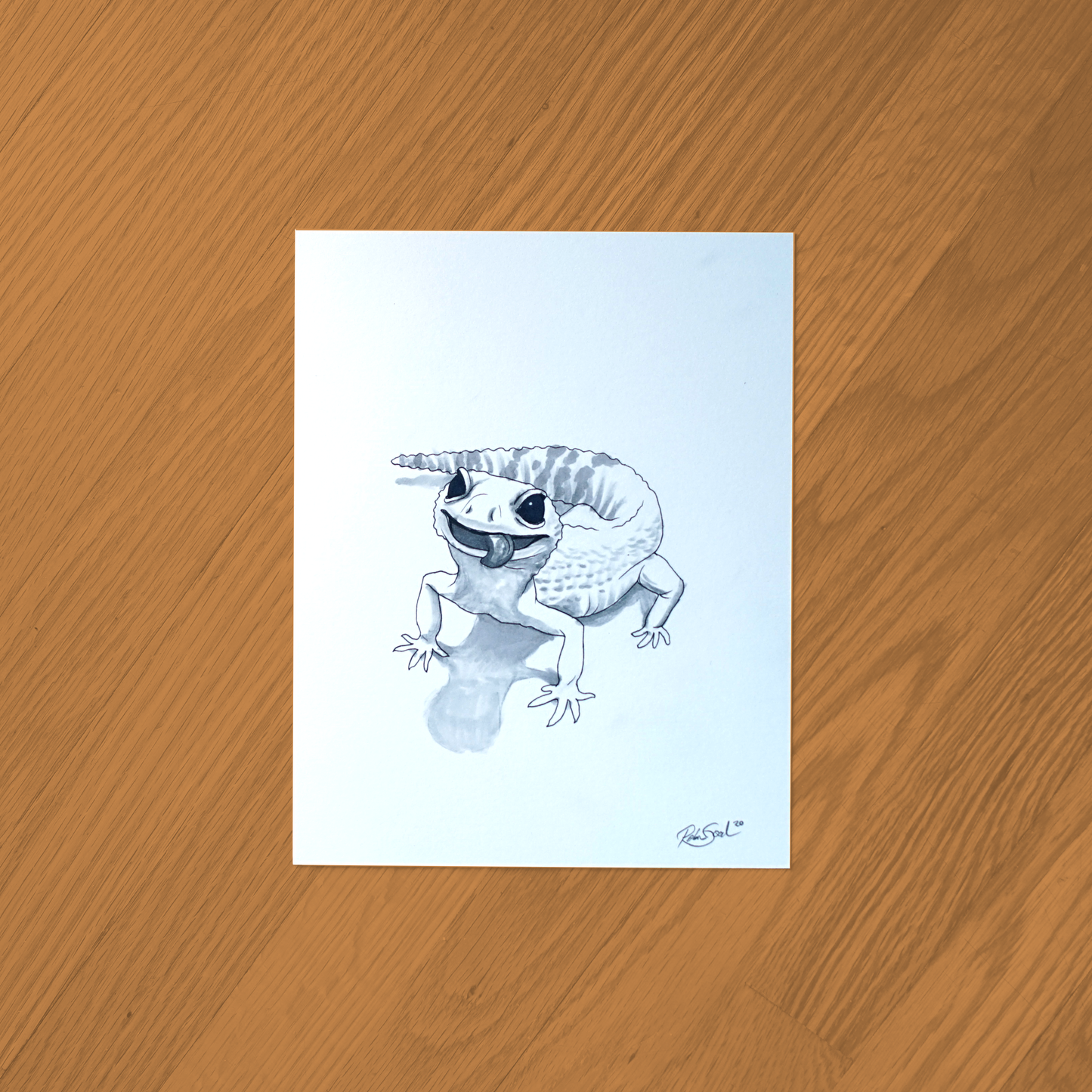 Leopard Gecko Ink Drawing - Framed