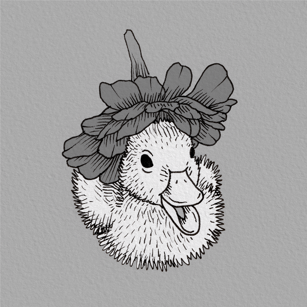 Fowl