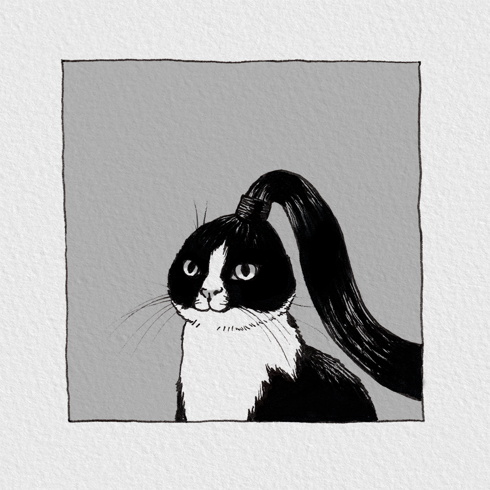 Ponytail