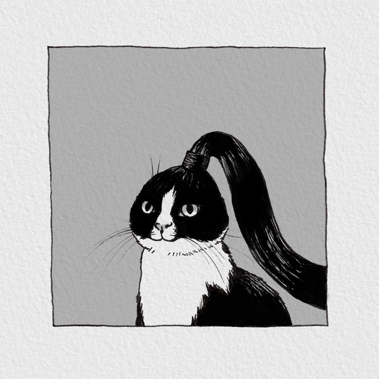 Ponytail