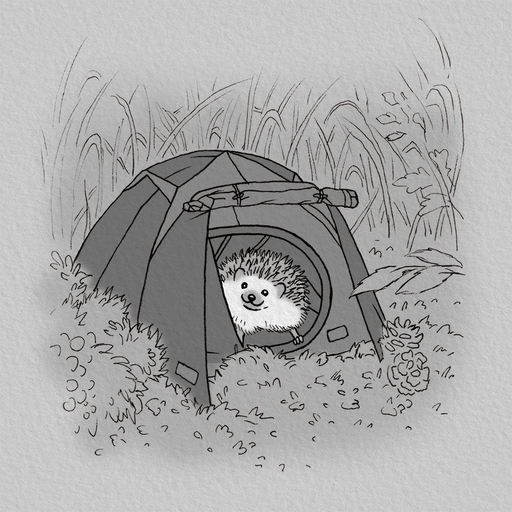 Camping