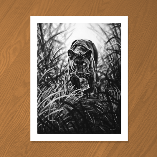 Black Panther Limited Edition Print (Framed)