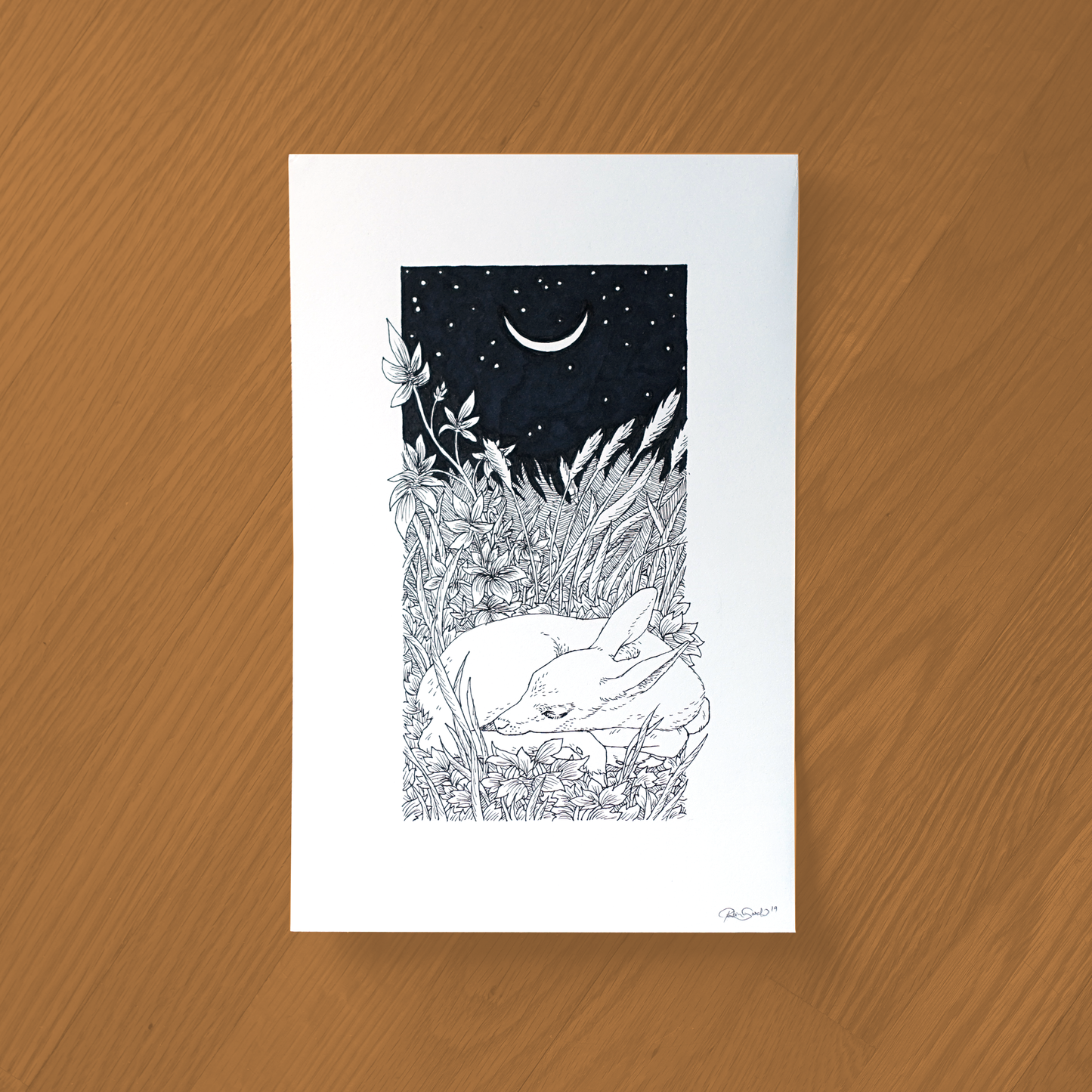 Moonlight Deer Ink Drawing - Framed