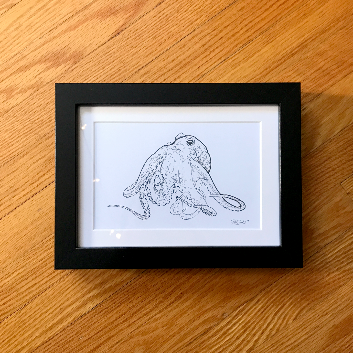 Octopus Ink Drawing - Framed