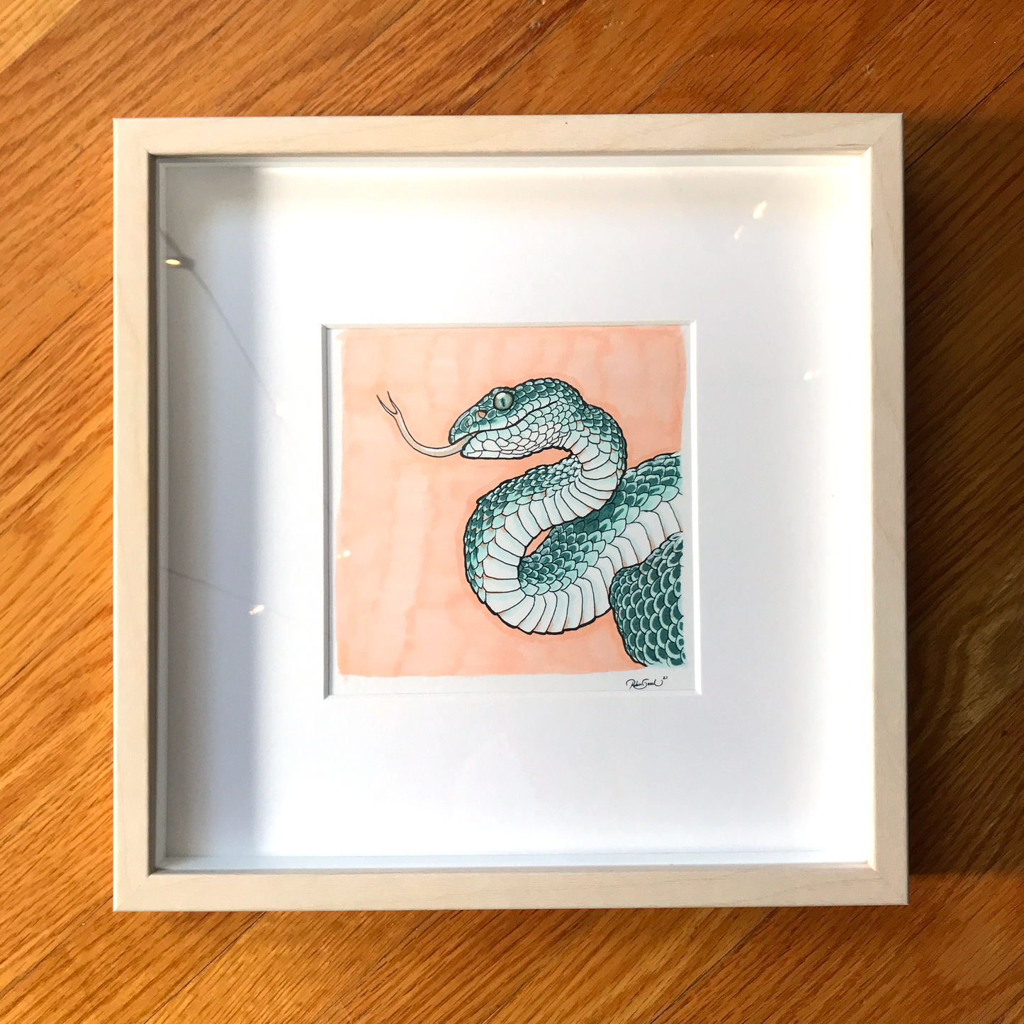 Pit Viper - Framed