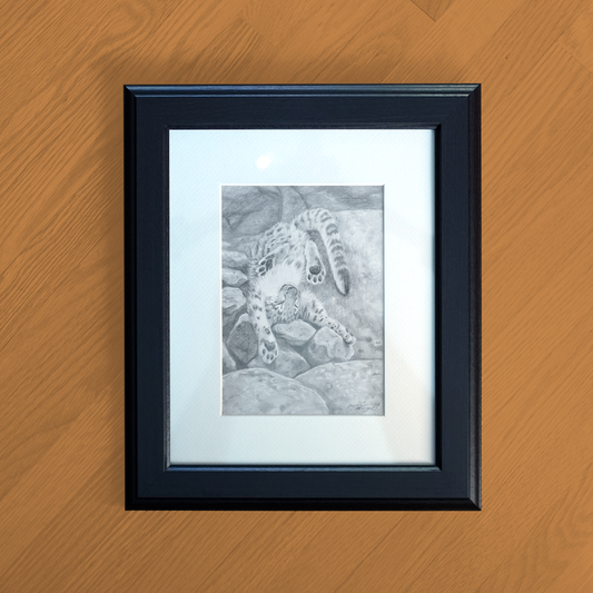 Snow Leopard Cub Pencil Drawing